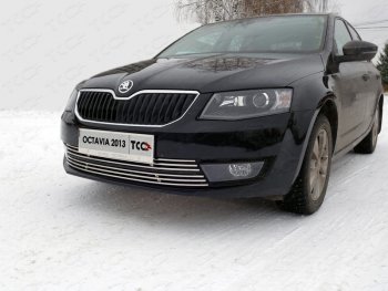 Рамка гос. номера ТСС Тюнинг Skoda Octavia A7 дорестайлинг универсал (2012-2017)  (нержавейка)