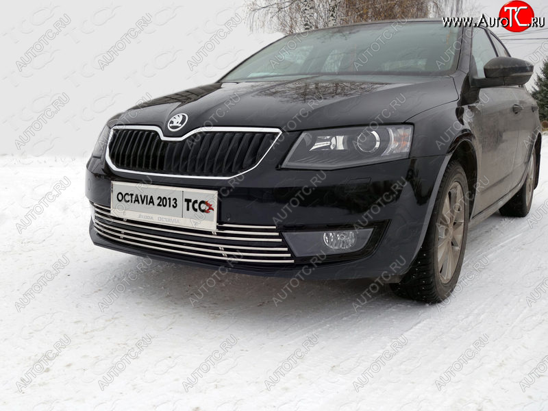 6 249 р. Рамка гос. номера ТСС Тюнинг Skoda Octavia A7 дорестайлинг универсал (2012-2017) (нержавейка)  с доставкой в г. Тамбов