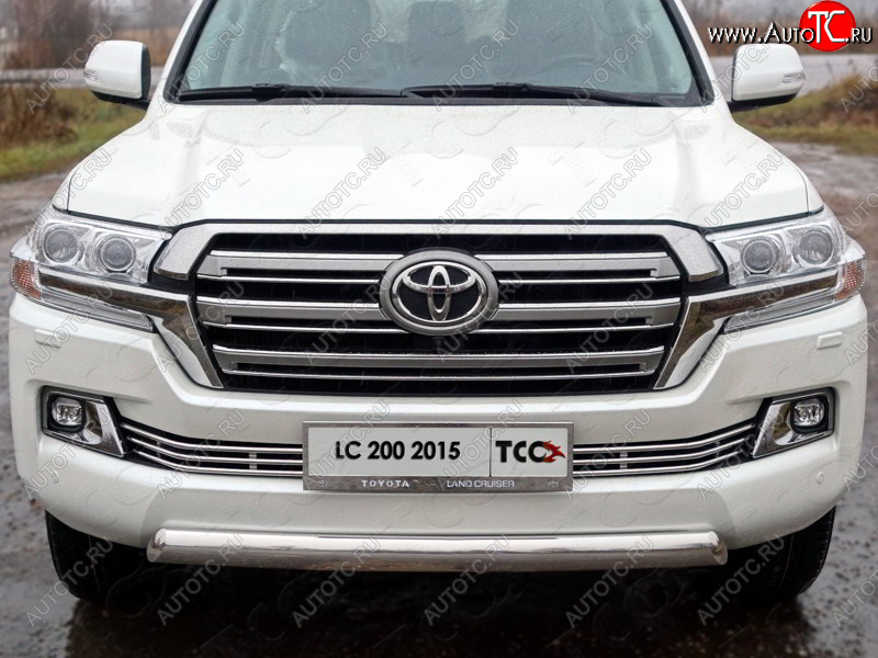 6 449 р. Рамка гос. номера ТСС Тюнинг Toyota Land Cruiser 200 2-ой рестайлинг (2015-2021) (нержавейка)  с доставкой в г. Тамбов