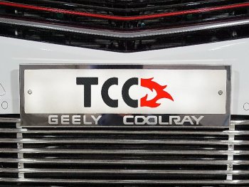 Рамка гос. номера ТСС Тюнинг Geely Coolray SX11 дорестайлинг (2018-2023) ()