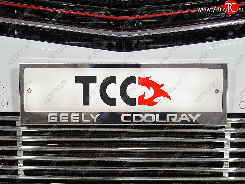 5 299 р. Рамка гос. номера ТСС Тюнинг Geely Coolray SX11 дорестайлинг (2018-2023) (нержавейка)  с доставкой в г. Тамбов