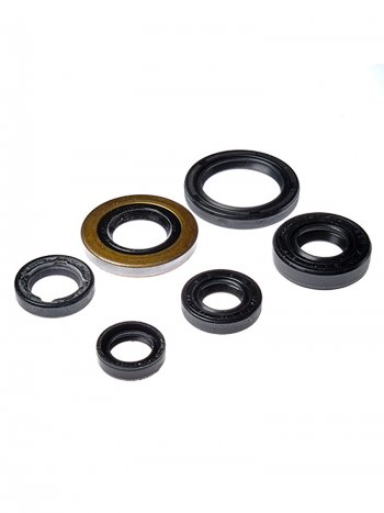 Комплект сальников двигателя BWX Honda TRX400EX 05-08, TRX400X 09-14 (822278)  osk30278