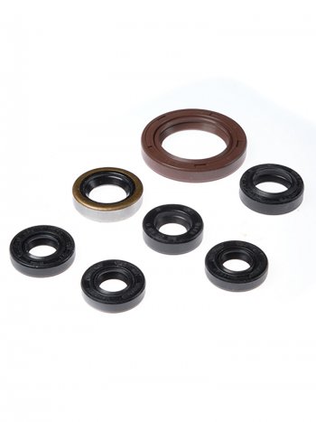 Комплект сальников двигателя BWX ARCTIC DVX400 04-08,Kawasaki KFX400 03-06,LT-Z400 03-08 (822201)  osk70201