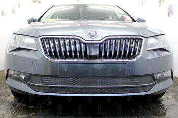 Защита радиатора (2 части) Стрелка11 Стандарт Skoda (Шкода) Superb (Супер) ( B8 (3V),  B8 (3V5)) (2015-2019) B8 (3V), B8 (3V5) лифтбэк дорестайлинг, универсал дорестайлинг