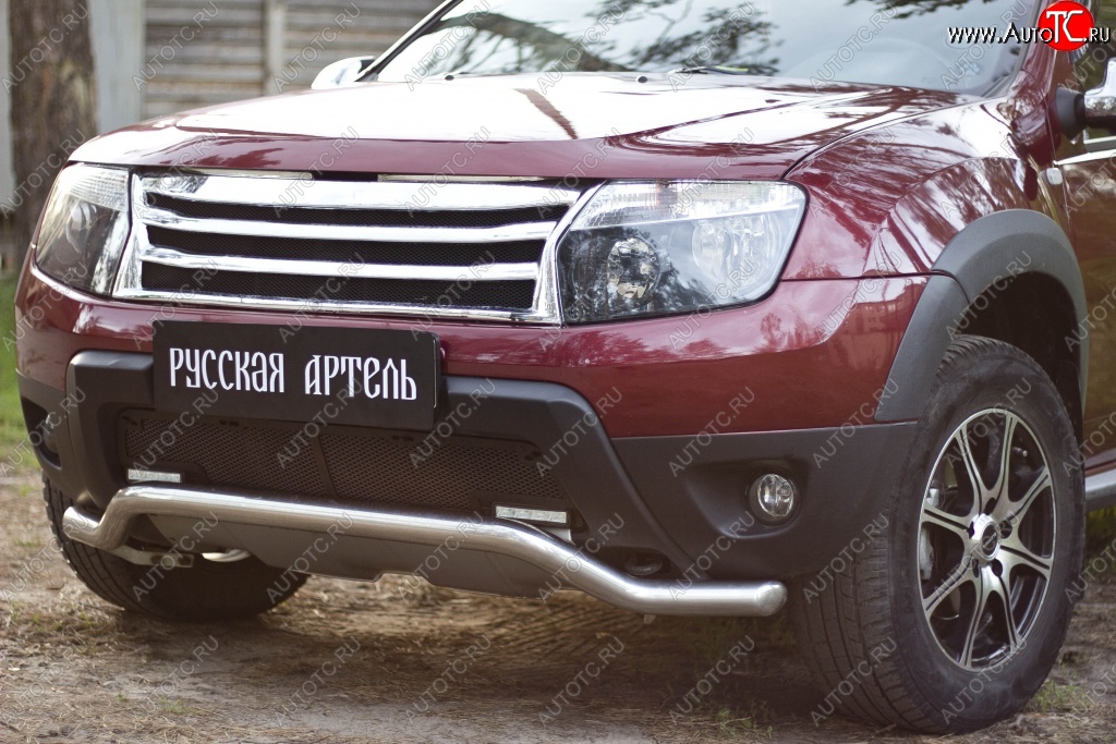 1 899 р. Защитная сетка решетки переднего бампера (c дхо и обвесом) РА  Renault Duster  HS (2010-2015) дорестайлинг  с доставкой в г. Тамбов