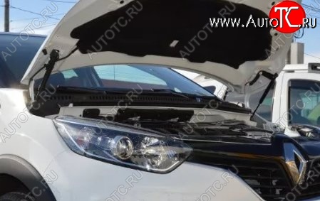 2 199 р. Газовые упоры капота Berkut Renault Kaptur дорестайлинг (2016-2020)  с доставкой в г. Тамбов