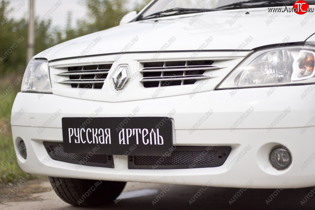 1 589 р. Защитная сетка решетки переднего бампера РА  Renault Logan  1 (2004-2010) дорестайлинг  с доставкой в г. Тамбов