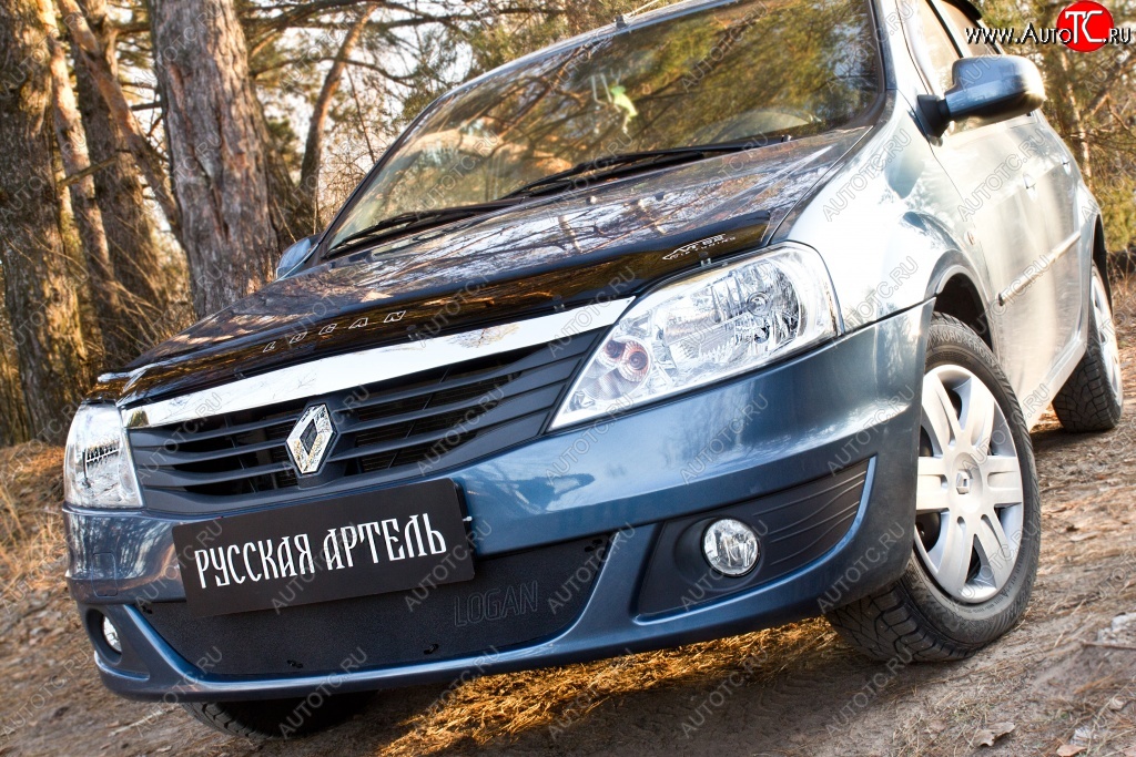 969 р. Защитная сетка решетки переднего бампера РА Renault Logan 1 рестайлинг (2010-2016)  с доставкой в г. Тамбов