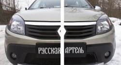 2 149 р. Защитная сетка решетки переднего бампера РА Renault Sandero Stepway (BS) (2010-2014)  с доставкой в г. Тамбов. Увеличить фотографию 2