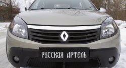 2 149 р. Защитная сетка решетки переднего бампера РА Renault Sandero Stepway (BS) (2010-2014)  с доставкой в г. Тамбов. Увеличить фотографию 3