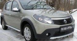 2 149 р. Защитная сетка решетки переднего бампера РА Renault Sandero Stepway (BS) (2010-2014)  с доставкой в г. Тамбов. Увеличить фотографию 4