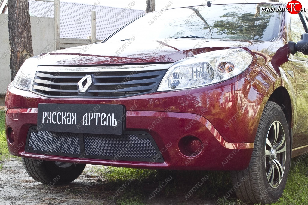 1 799 р. Защитная сетка решетки переднего бампера РА Renault Sandero (BS) (2009-2014)  с доставкой в г. Тамбов