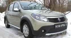 889 р. Зимняя заглушка решетки переднего бампера РА  Renault Sandero Stepway  (BS) (2010-2014)  с доставкой в г. Тамбов. Увеличить фотографию 3