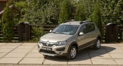 4 699 р. Молдинги дверей RA (комплект) Renault Sandero (B8) дорестайлинг (2014-2018) (Поверхность глянец (под окраску), Неокрашенные)  с доставкой в г. Тамбов. Увеличить фотографию 2