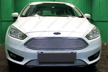 Защитная сетка в бампер (ячейка 4х10 мм, нижняя часть) Alfeco Премиум Ford Focus 3 универсал рестайлинг (2014-2019)