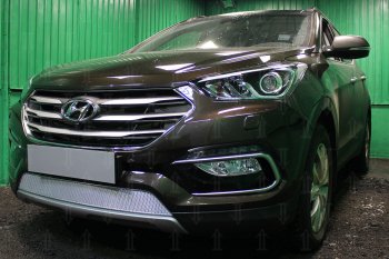 Защитная сетка радиатора в бампер (ячейка 4х10 мм) Стрелка11 Премиум Hyundai Santa Fe DM рестайлинг (2015-2019)