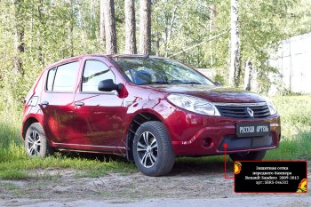 Защитная сетка решетки переднего бампера Русская Артель Renault (Рено) Sandero (Сандеро)  (BS) (2009-2014) (BS)  (Поверхность текстурная)