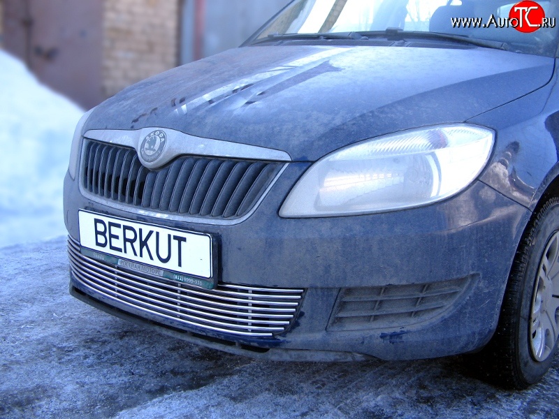 5 899 р. Декоративная вставка воздухозаборника Berkut Skoda Fabia Mk2 хэтчбэк дорестайлинг (2007-2010)  с доставкой в г. Тамбов