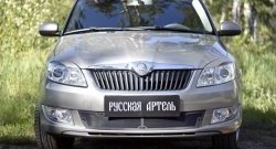 1 999 р. Защитная сетка решетки переднего бампера РА Skoda Fabia Mk2 универсал рестайлинг (2010-2014)  с доставкой в г. Тамбов. Увеличить фотографию 2