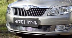 1 999 р. Защитная сетка решетки переднего бампера РА Skoda Fabia Mk2 универсал рестайлинг (2010-2014)  с доставкой в г. Тамбов. Увеличить фотографию 1