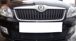 1 469 р. Сетка на бампер (рестайлинг) Russtal (черная) Skoda Fabia Mk2 хэтчбэк дорестайлинг (2007-2010)  с доставкой в г. Тамбов. Увеличить фотографию 4