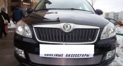 1 539 р. Сетка на бампер (рестайлинг) Russtal (хром) Skoda Fabia Mk2 универсал дорестайлинг (2007-2010)  с доставкой в г. Тамбов. Увеличить фотографию 2