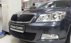 1 469 р. Сетка на бампер Russtal (черная) Skoda Octavia A5 рестайлинг универсал (2008-2013)  с доставкой в г. Тамбов. Увеличить фотографию 2