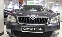 1 469 р. Сетка на бампер Russtal (черная) Skoda Octavia A5 рестайлинг универсал (2008-2013)  с доставкой в г. Тамбов. Увеличить фотографию 3