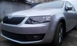 2 569 р. Сетка (для комплектации Ambition, Elegance) на бампер Russtal (черная) Skoda Octavia A7 дорестайлинг лифтбэк (2012-2017)  с доставкой в г. Тамбов. Увеличить фотографию 2