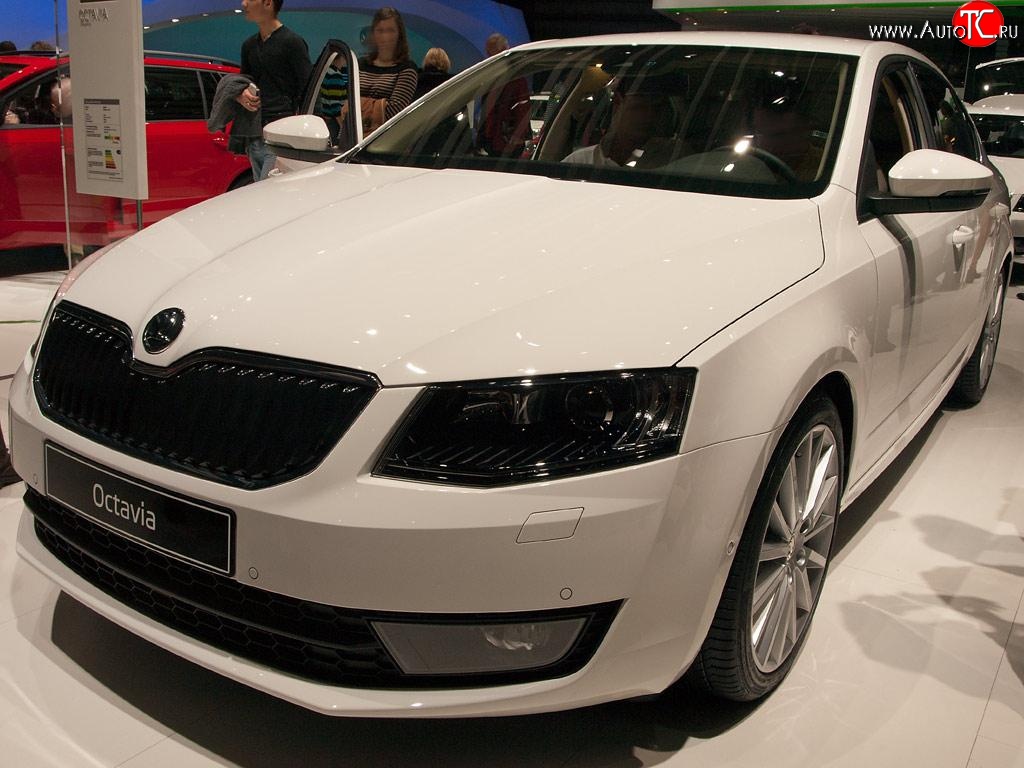 2 569 р. Сетка (для комплектации Ambition, Elegance) на бампер Russtal (черная) Skoda Octavia A7 дорестайлинг лифтбэк (2012-2017)  с доставкой в г. Тамбов