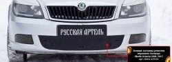 899 р. Зимняя заглушка решетки переднего бампера РА  Skoda Octavia  A5 (2008-2013) лифтбэк рестайлинг, рестайлинг универсал  с доставкой в г. Тамбов. Увеличить фотографию 2