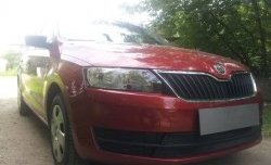 2 339 р. Сетка на бампер Russtal (черная) Skoda Rapid NH3 дорестайлинг лифтбэк (2012-2017)  с доставкой в г. Тамбов. Увеличить фотографию 3