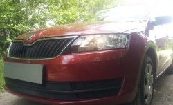 2 339 р. Сетка на бампер Russtal (черная) Skoda Rapid NH3 дорестайлинг лифтбэк (2012-2017)  с доставкой в г. Тамбов. Увеличить фотографию 1