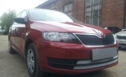 2 399 р. Сетка на бампер Russtal (хром) Skoda Rapid NH3 дорестайлинг лифтбэк (2012-2017)  с доставкой в г. Тамбов. Увеличить фотографию 3