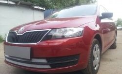 2 399 р. Сетка на бампер Russtal (хром)  Skoda Rapid  NH3 (2012-2017) дорестайлинг лифтбэк  с доставкой в г. Тамбов. Увеличить фотографию 4