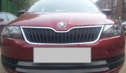 2 399 р. Сетка на бампер Russtal (хром)  Skoda Rapid  NH3 (2012-2017) дорестайлинг лифтбэк  с доставкой в г. Тамбов. Увеличить фотографию 1