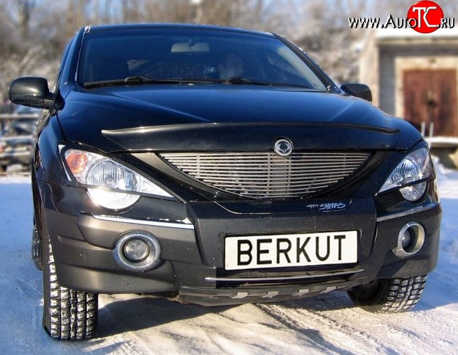 5 999 р. Декоративная вставка решетки радиатора Berkut SSANGYONG Actyon Sport (2006-2011)  с доставкой в г. Тамбов