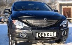 5 999 р. Декоративная вставка решетки радиатора Berkut  SSANGYONG Actyon  1 (2006-2010)  с доставкой в г. Тамбов. Увеличить фотографию 1