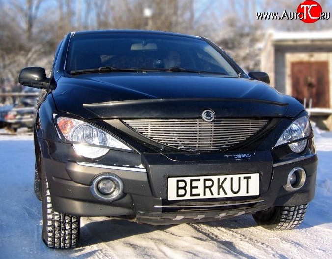 5 999 р. Декоративная вставка решетки радиатора Berkut  SSANGYONG Actyon  1 (2006-2010)  с доставкой в г. Тамбов