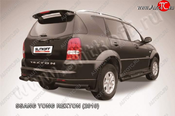 5 999 р. Уголки d76  SSANGYONG Rexton  Y250 (2006-2012) (Цвет: серебристый)  с доставкой в г. Тамбов