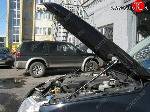 2 199 р. Газовые упоры капота Berkut Suzuki Grand Vitara JT 3 двери дорестайлинг (2005-2008)  с доставкой в г. Тамбов