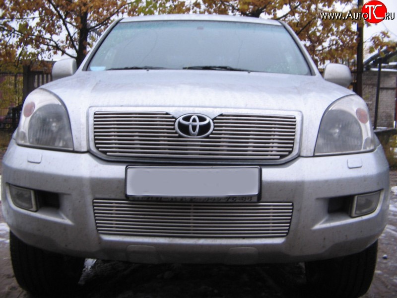 4 399 р. Декоративная вставка воздухозаборника Berkut Toyota Land Cruiser Prado J120 (2002-2009)  с доставкой в г. Тамбов