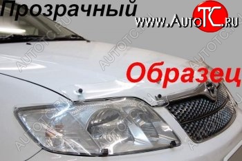 1 989 р. Защита фар (J120-J125) CA-Plastic  Toyota Land Cruiser Prado  J120 (2002-2009) (Classic прозрачный)  с доставкой в г. Тамбов