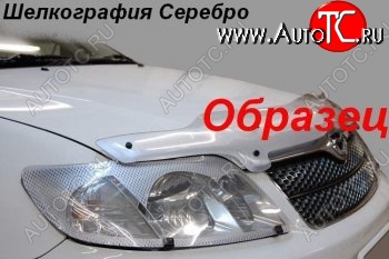 2 399 р. Защита фар (J120-J125) CA-Plastic  Toyota Land Cruiser Prado  J120 (2002-2009) (Шелкография серебро)  с доставкой в г. Тамбов