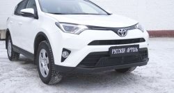 1 689 р. Защитная сетка решетки переднего бампера РА  Toyota RAV4  XA40 (2015-2019) 5 дв. рестайлинг  с доставкой в г. Тамбов. Увеличить фотографию 2