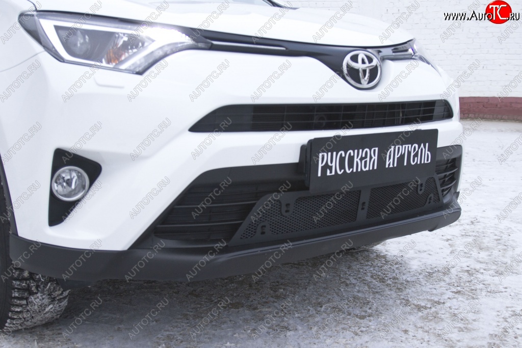 1 689 р. Защитная сетка решетки переднего бампера РА  Toyota RAV4  XA40 (2015-2019) 5 дв. рестайлинг  с доставкой в г. Тамбов