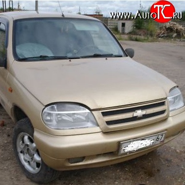 22 449 р. Капот Стандартный Chevrolet Niva 2123 дорестайлинг (2002-2008) (Окрашенная)  с доставкой в г. Тамбов