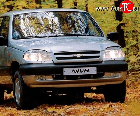 3 289 р. Передний бампер Стандартный Chevrolet Niva 2123 дорестайлинг (2002-2008) (Окрашенный)  с доставкой в г. Тамбов