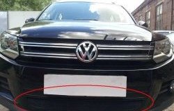 Защитная решётка в воздуховод автомобиля Russtal (черная) Volkswagen Tiguan Mk2 дорестайлинг (2016-2020)